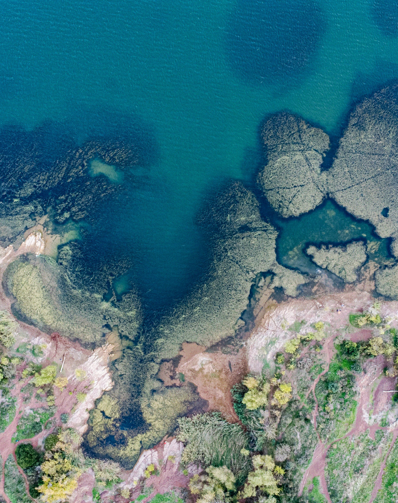 About page banner, a photo of the land and the sea